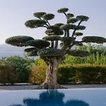 מלון Hiddenbay Teos ספריהיסאר
