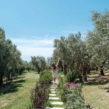 Hiddenbay Teos Sigacik Hotel, And Restaurants فندق سفيريهيسار