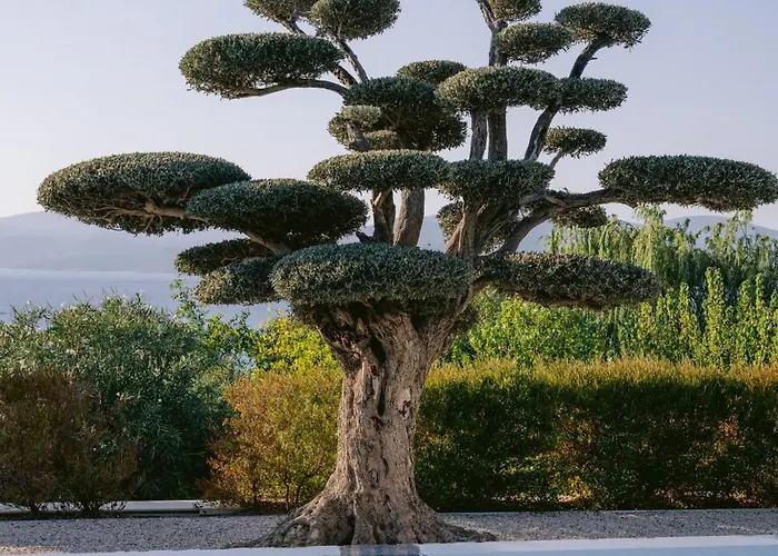 Hotel Hiddenbay Teos Seferihisar